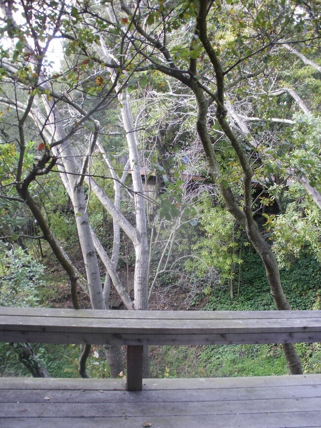 Foto del edificio - 58 Roble Rd