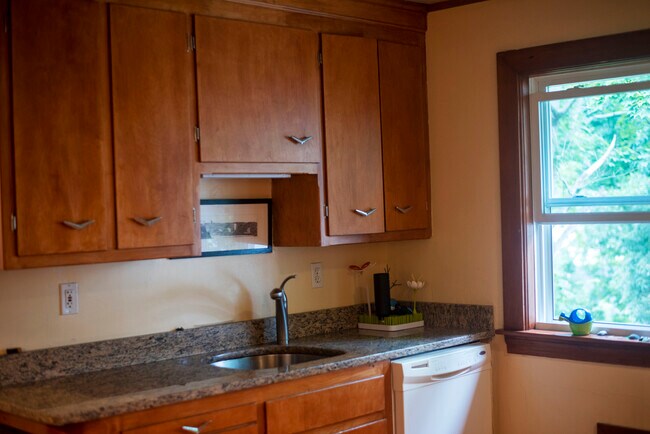Kitchen - 7 Oriole St