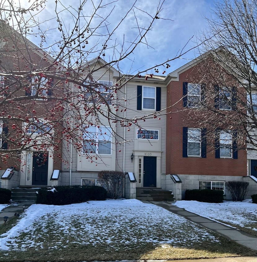 1603 Edinburgh Dr, Bartlett, IL 60103 Townhome Rentals in Bartlett IL