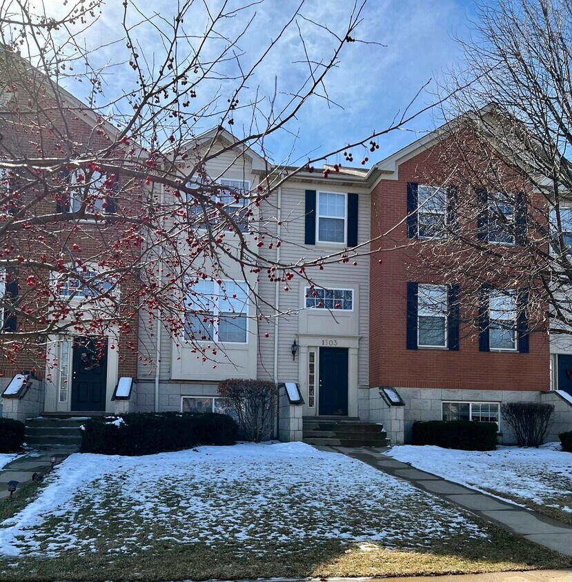 1603 Edinburgh Dr, Bartlett, IL 60103 Townhome Rentals in Bartlett IL
