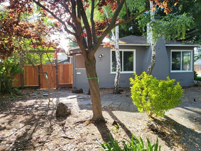 Building Photo - 399 Pope St
