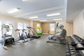 Located at 728 Frawley Rd in East Ridge, Tennessee, this fitness center offers a thoughtfully designed, single-floor exercise facility suited for a comprehensive workout experience. The space features warm, neutral-toned walls accented by crisp white crown molding and baseboards, creating a clean and welcoming atmosphere throughout. Durable speckled rubber flooring covers the entire area, providing both safety and comfort underfoot during exercise. Overhead, flush-mounted fluorescent light fixtures ensure the space is evenly and brightly illuminated.

The main workout area is generously proportioned, accommodating a wide variety of cardio equipment including treadmills, elliptical trainers, stationary bikes, and stair steppers. A dedicated free weights section features a full dumbbell rack, catering to strength training needs. Large wall-mounted mirrors expand the sense of space and allow users to monitor their form during workouts. Stability balls and additional accessories are available for flexibility and functional training.

Natural light filters in through several windows, enhancing the open feel of the room. A doorway connects to an adjacent room, visible through the images, which contains additional seating and natural light. The overall design is practical and functional, prioritizing ease of movement and accessibility throughout the facility.