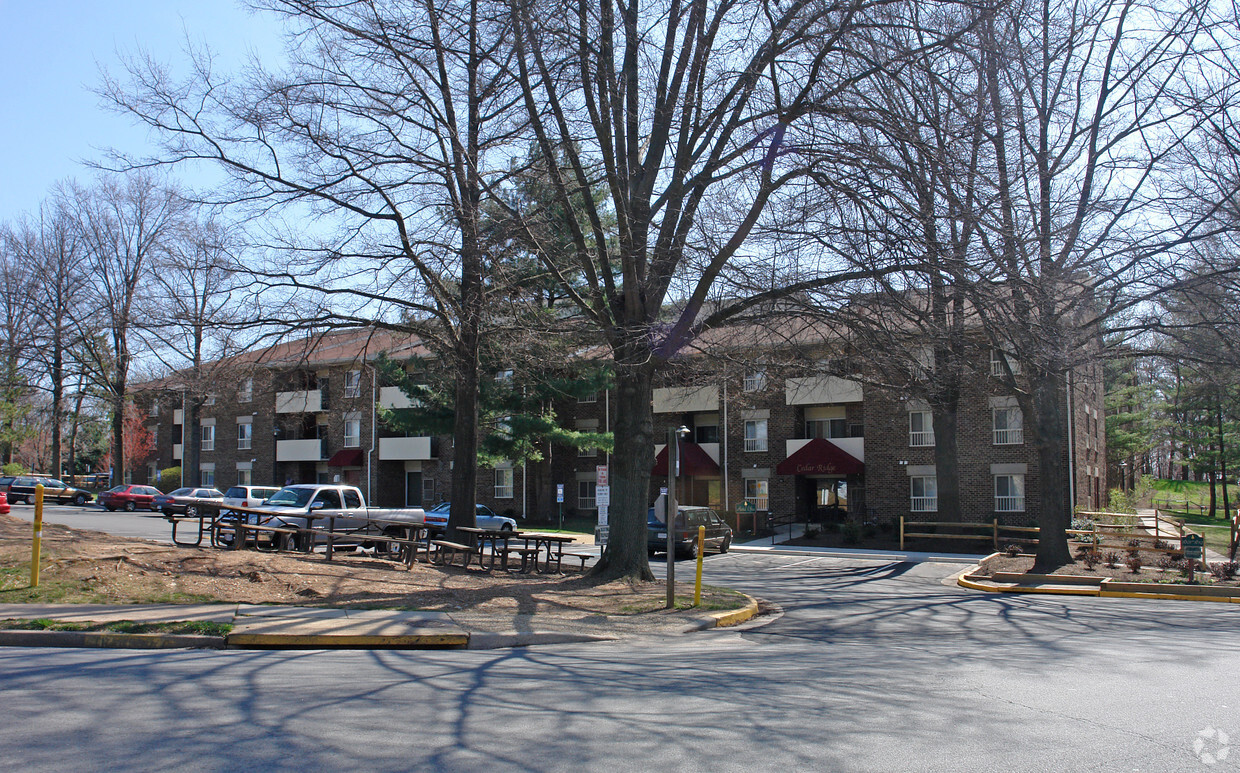 Primary Photo - Cedar Ridge