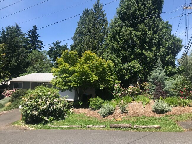 view from 32nd Avenue north bound - 3163 Southeast Balfour Street