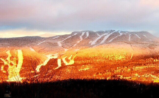 Building Photo - 170 Ch Du Tour-Du-Lac