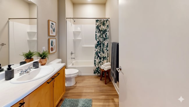 Building Photo - The Stella - Colorado