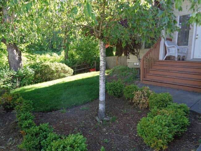View on the Front Yard - 17616 SW Bany Rd