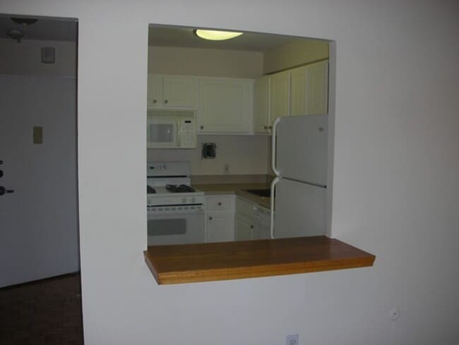 Photo - Pond View! Near Longwood Medical Area, Green line-D Brookline Village! Apartment