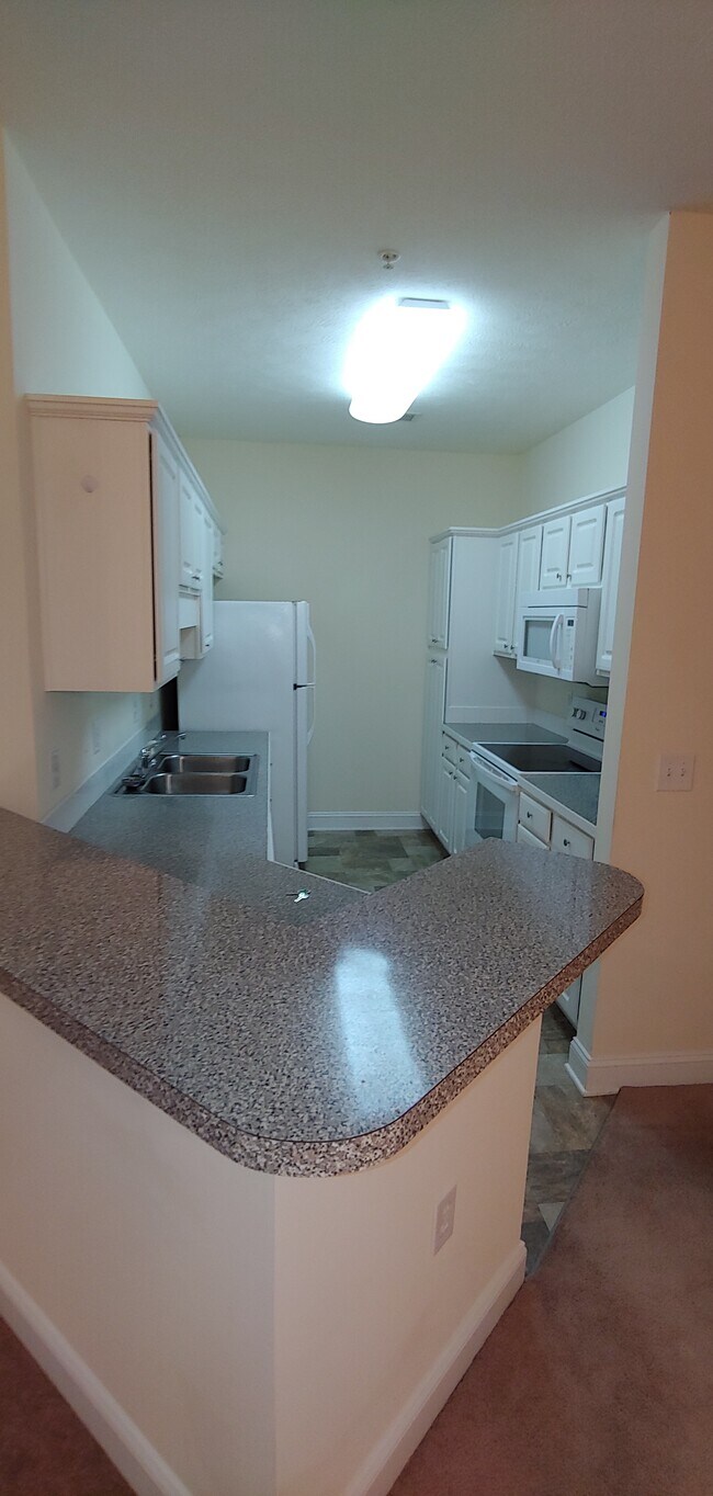 Foto del edificio - 105 Fountain Pointe Ln