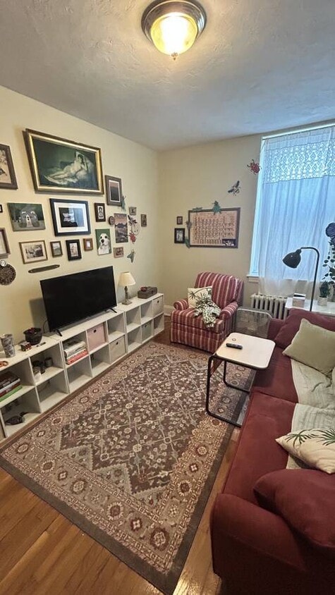 Primary Photo - 223 Essex St
