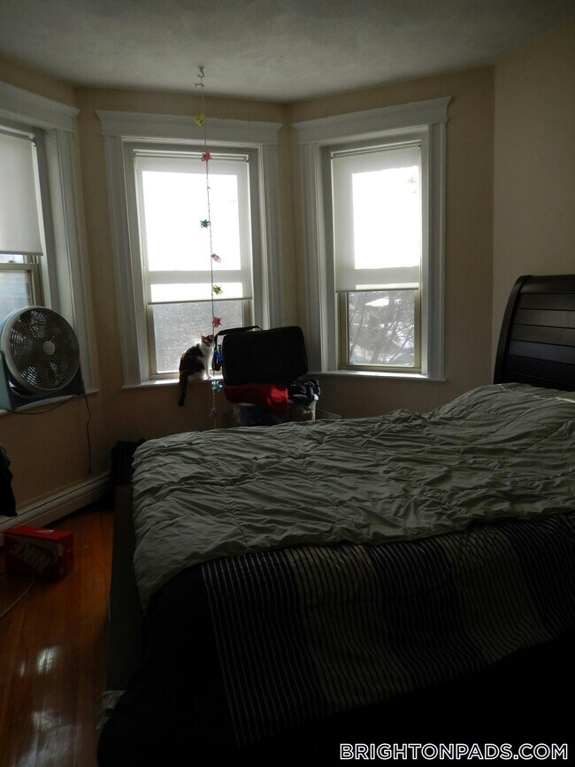 Foto del edificio - 1625 Commonwealth Ave