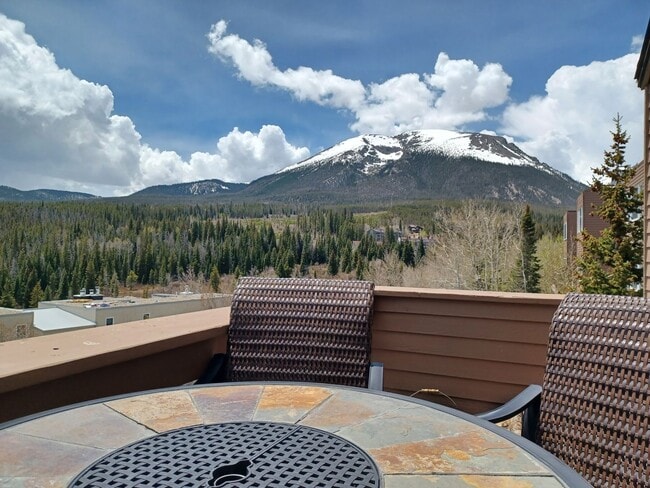 Foto del edificio - Light Bright 3 BDR plus Loft 3BATH Silvert...