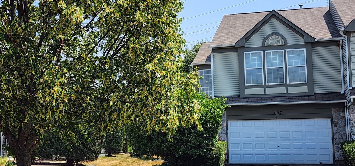 1137 Bromley Ct, Aurora, IL 60502 Townhome Rentals in Aurora IL