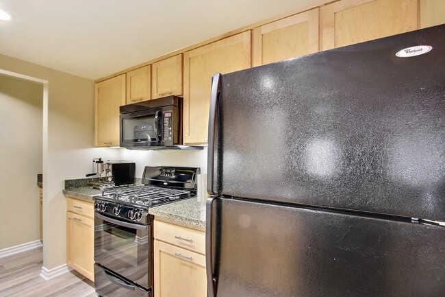 Interior Photo - Olive Encino