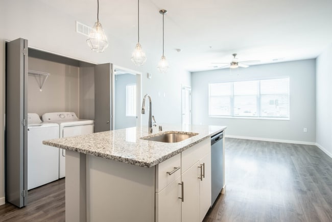 Interior Photo - The TROTTA