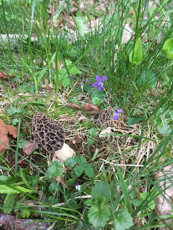 Foto principal - 56 London Rd