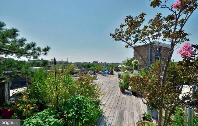 Foto del edificio - 2707 Adams Mill Rd NW