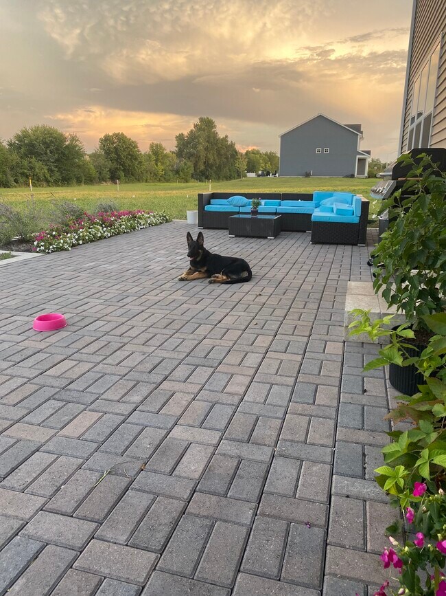 Paver Patio in the 1 acre backyard - 2925 Amberleigh Ln