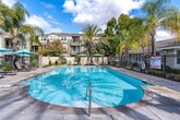 Located at 2311 Ivy Hill Way in San Ramon, California, this expansive outdoor amenity complex spans a generously sized footprint and offers a resort-style experience within a well-appointed residential community. The centerpiece of the space is a large, sparkling swimming pool with crystal-clear blue water, complemented by a second pool area that together provide ample room for recreation and relaxation. Surrounding the pools, a broad concrete deck is outfitted with cushioned lounge chairs and teal umbrellas, offering shaded retreats under the California sun. Towering palm trees and mature deciduous trees are thoughtfully integrated throughout, providing natural shade and a lush, tropical ambiance. A central courtyard features a circular fire pit and additional seating areas, creating an inviting social hub. A covered pergola-style structure adds architectural interest and sheltered gathering space. The landscaping is meticulously maintained, with ornamental grasses, flowering shrubs, and mulched garden beds lining iron fencing that defines the perimeter. The multi-story residential buildings surrounding the complex feature neutral stucco exteriors with warm accents, balconies, and large windows that overlook the amenity areas, seamlessly connecting indoor and outdoor living within this vibrant San Ramon community.