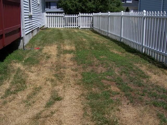 Foto del edificio - 5 bedroom in Runnemede New Jersey 08078