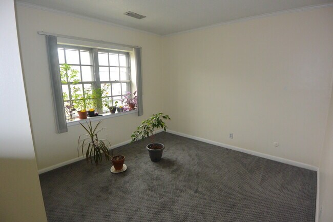 Foto del edificio - 178 Lake Shore Rd