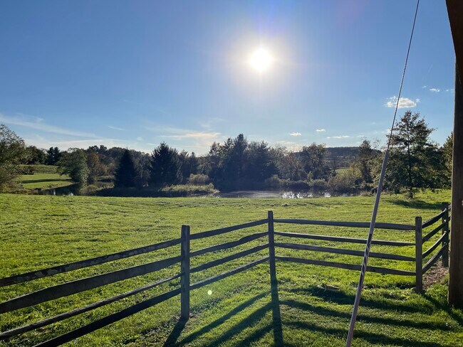 View from the living room window. - 15 River Rd