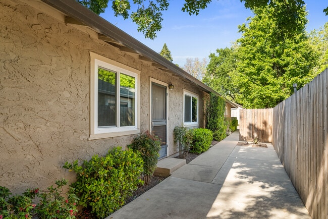 Inside gate - 955 Hazel St