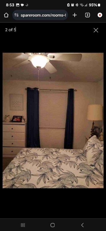 Foto del edificio - 4984 Pine Cone Ct