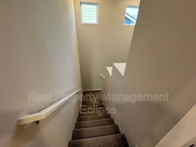 Foto del edificio - 8309 31st Pl NE