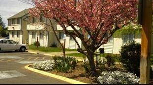 Primary Photo - Brightenwood Apartments