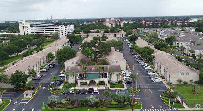 campus palms apartments usf student living tampa fl apartments com