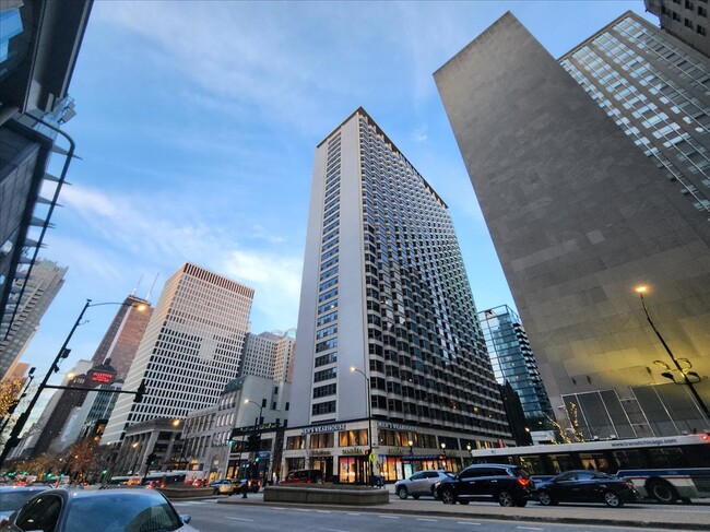 Foto del edificio - 535 N Michigan Ave