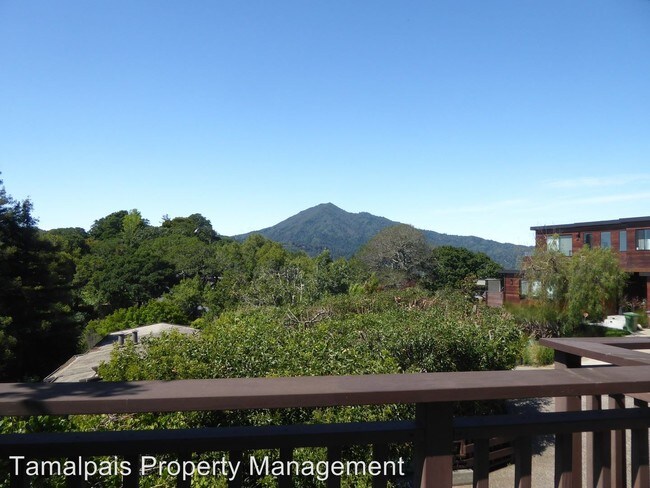 Foto del edificio - 4 br, 3.5 bath House - 320 Vista Grande