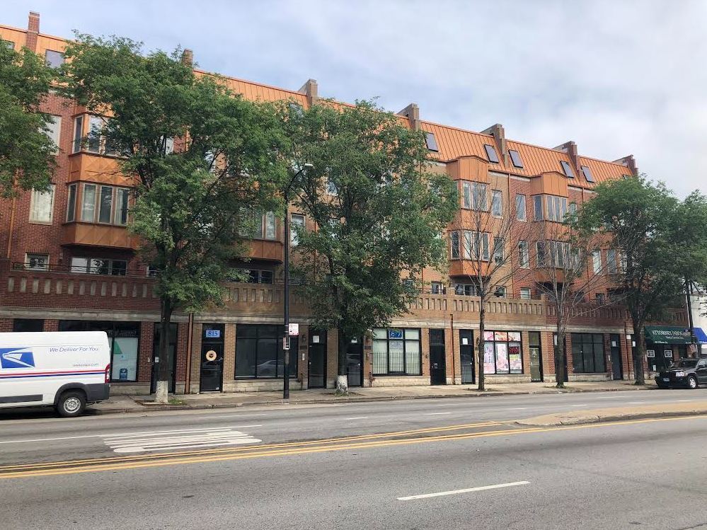 815 S Western Ave Unit 2, Chicago, IL 60612 Apartment for Rent in