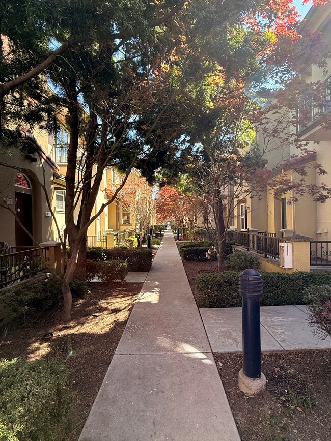 Front View 1 - 677 Luz del Sol Loop