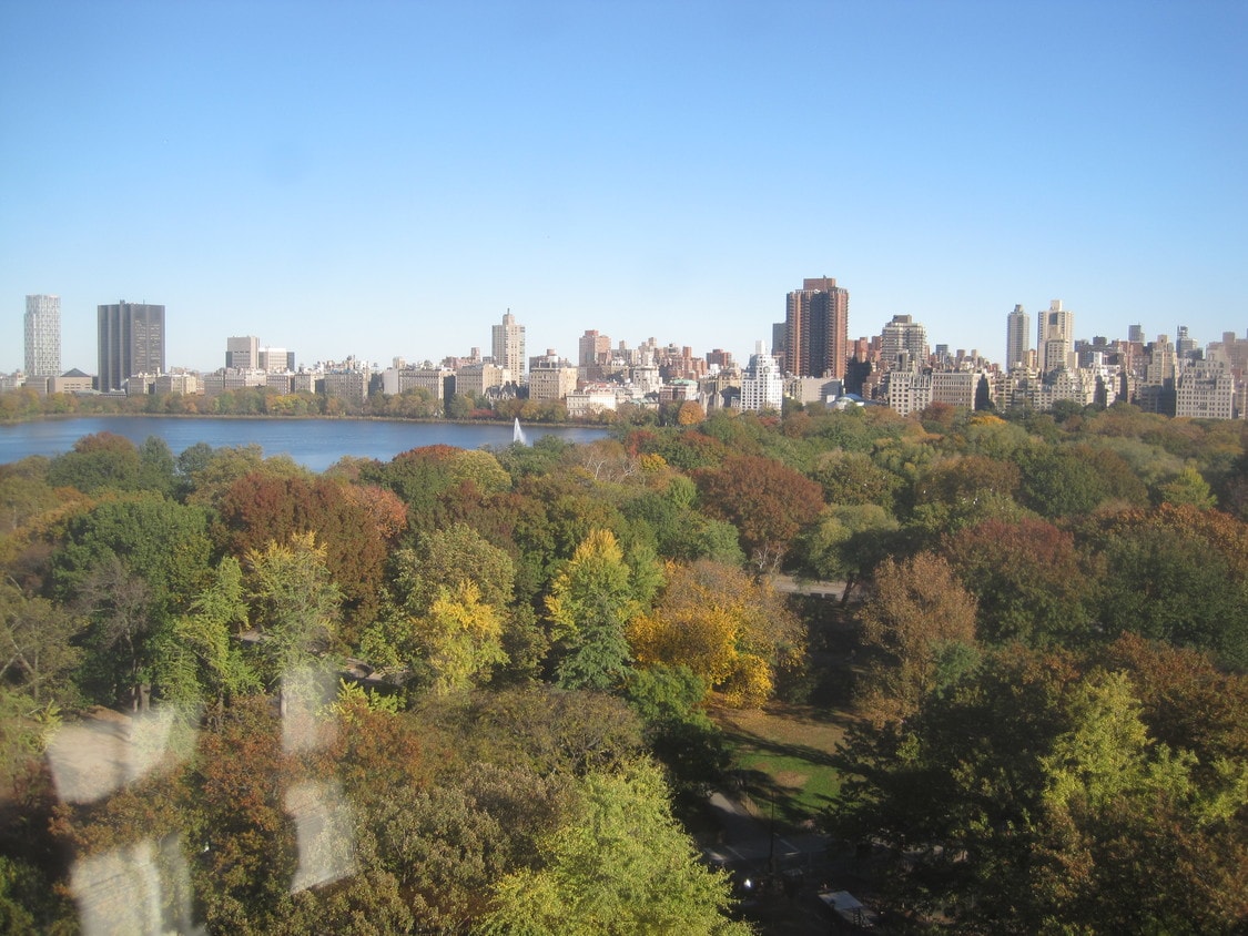 Primary Photo - 241 Central Park West