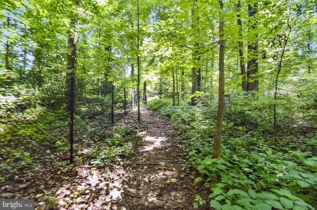 Photo - 2230 George C Marshall Dr Apartment