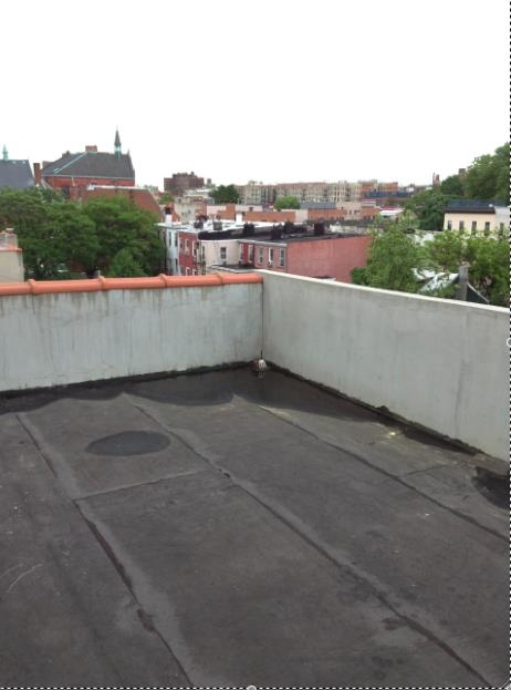 Roof - 1882 Fulton St