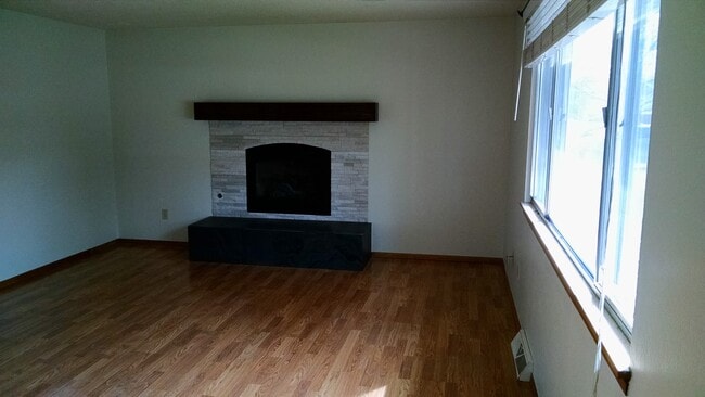 Updated gas fireplace - 1838 Gay Street