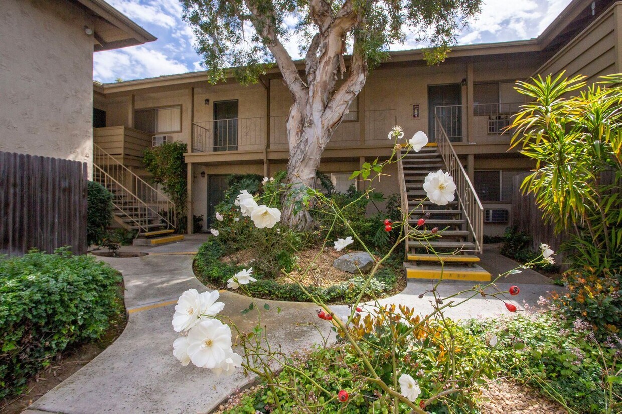 Primary Photo - *2 WEEKS FREE!* Large 1BR with A/C in a Ga...