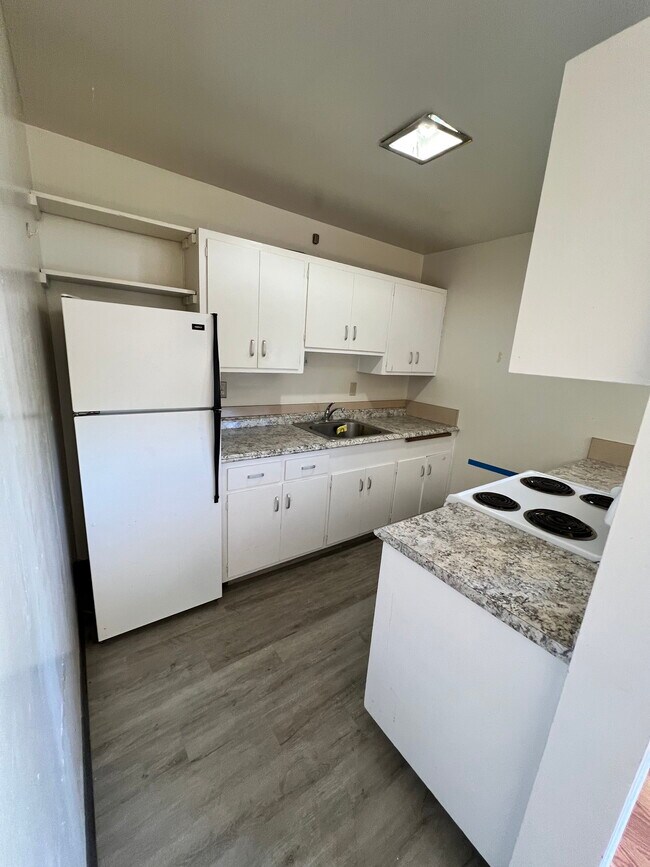 Foto del edificio - North Berkeley, Spacious 2 BR 1 BA