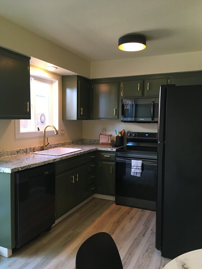 New appliances in updated kitchen. - 816 Carmen Dr
