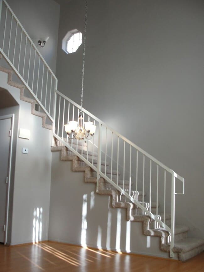 Building Photo - 5258 Steinbrenner Ln