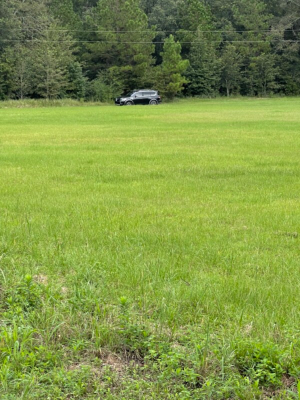 2009 FL81, Westville, FL 32464 House Rental in Westville, FL