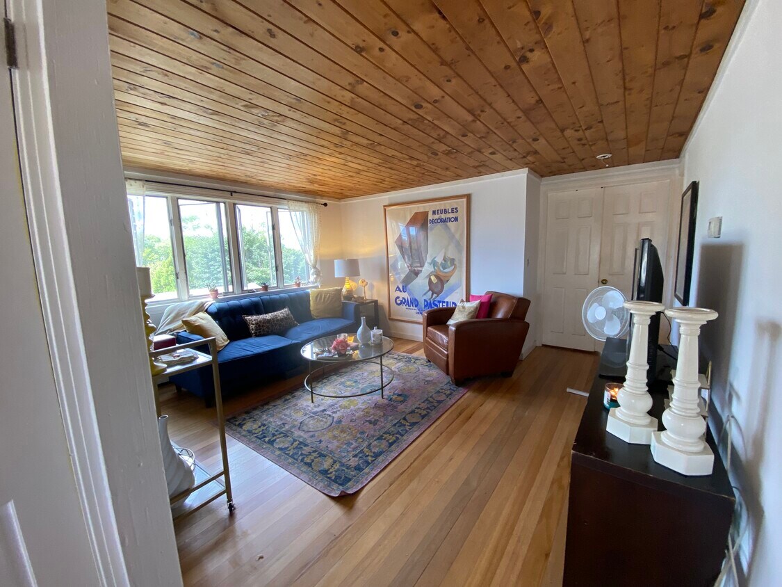 Living room - 10 1/2 Warner St
