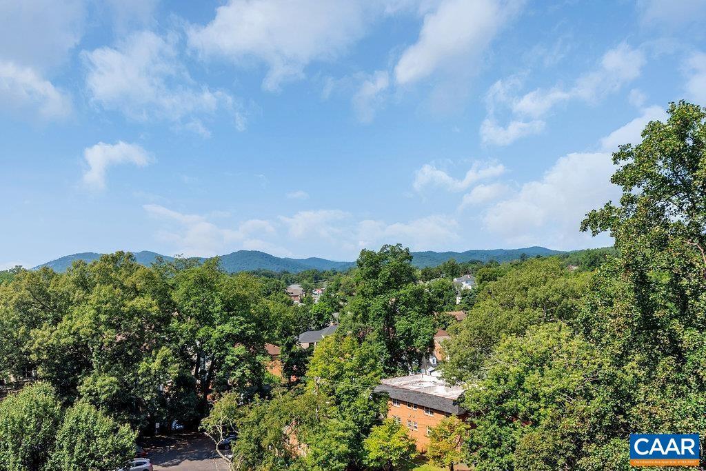 1800 Jefferson Park Ave Unit 910, Charlottesville, VA 22903 Condo for