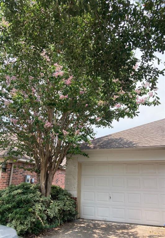 2114 Thorn Berry Creek Ln, Katy, TX 77449 House Rental in Katy, TX