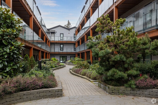Courtyard - Wall Trails