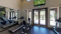 The Stonebridge Ranch fitness center is a thoughtfully designed, single-floor facility that offers a comprehensive workout environment for residents. The space is defined by its impressively high ceilings, which lend an open and airy feel throughout. Large windows along multiple walls flood the interior with natural light while providing views of the surrounding landscaped grounds, creating an inviting atmosphere that encourages activity.

A dramatic, large-scale botanical mural featuring close-up imagery of agave or succulent plants serves as a bold visual focal point on one wall, adding a distinctive and energizing character to the space. Roller shades on the adjacent windows allow for flexible light control without sacrificing the vibrant aesthetic.

The facility is outfitted with a full range of Life Fitness cardio equipment, including multiple treadmills and a stationary bike, positioned near floor-to-ceiling mirrors that visually expand the space. A multi-station cable strength machine, a weight bench, and a tiered dumbbell rack with a complete set of free weights cater to strength training needs. Functional fitness accessories such as medicine balls, a stability ball, and storage cubbies round out the equipment offerings.

Double glass doors open directly to an outdoor patio and pool area, seamlessly connecting the indoor fitness space with the exterior amenities. A wall-mounted flat-screen television provides entertainment during workouts, and durable rubber flooring throughout ensures safety and comfort.