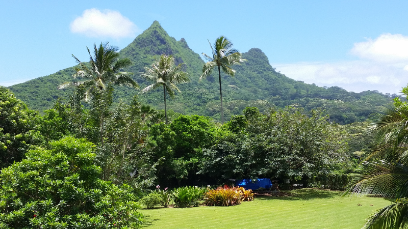 Primary Photo - 971 Maunawili Cir